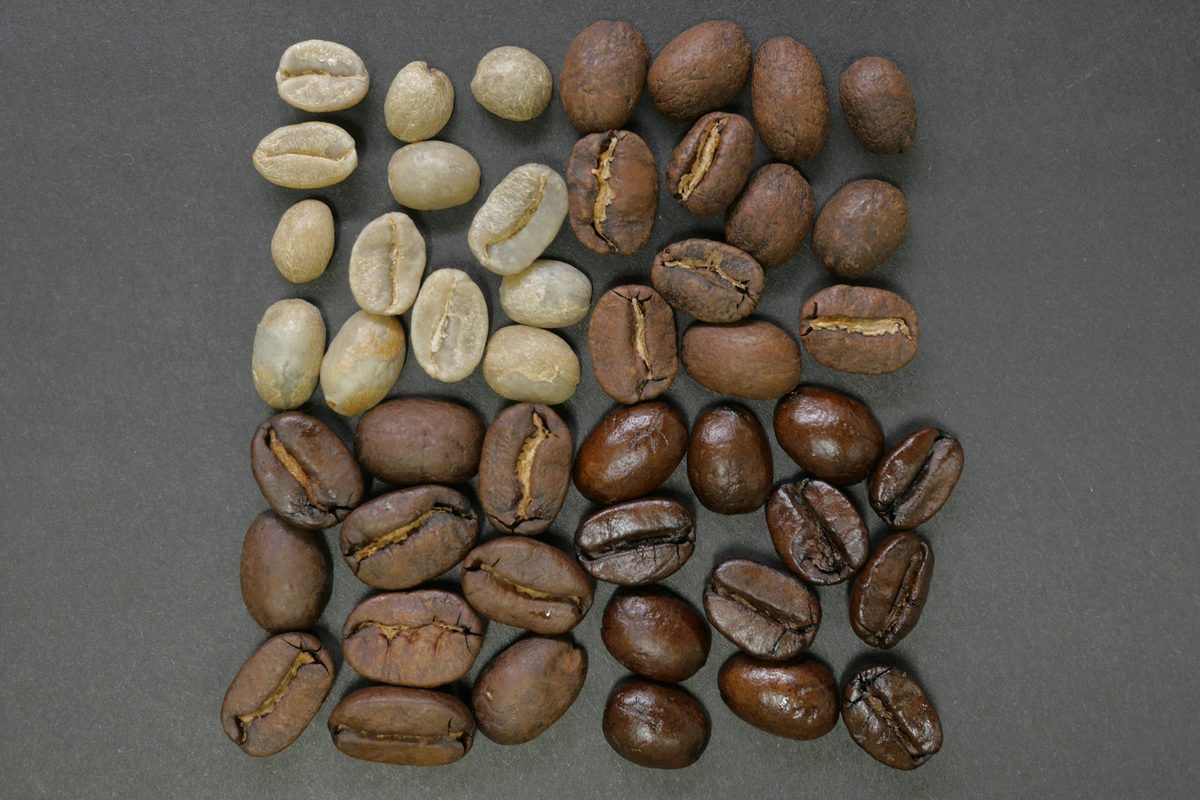 生豆から深煎りまで、焙煎の度合いの順に並べたコーヒー豆