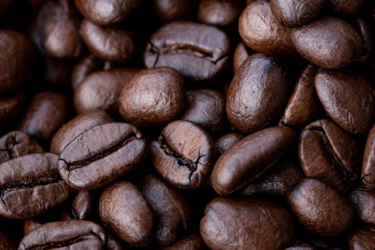 焙煎したコーヒー豆